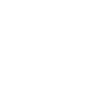 Namos Oracle EPM icon